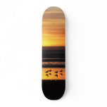 Sunset beach skateboards