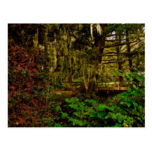 Sunset Beach State Park Postcard