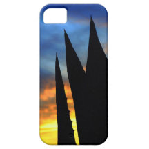 Sunset Cactus iPhone 5 Case