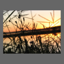 sunset camping on the lake posters