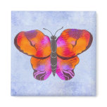 Sunset Coloured Butterfly Painting magnets