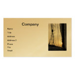 Sunset Cruise Business Card