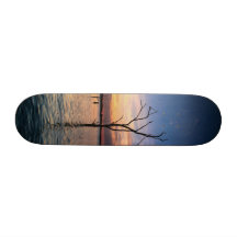Sunset Custom Skateboard
