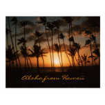 Sunset (Customisable) Post Card