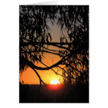 Sunset Darkness Card