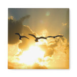Sunset Flight Magnet