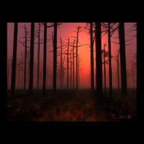 Sunset Fog posters