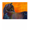 Sunset Friesian t-shirts