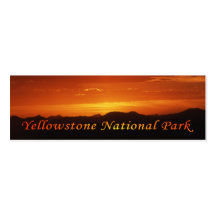 Sunset from Mt. Washburn Business Cards