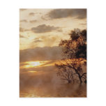 Sunset Glory Postcard