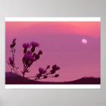 Sunset Glow Print