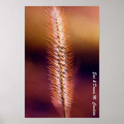 Sunset Grass Print by creativeworks