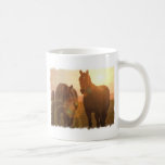 Sunset Horses  Coffee Mug
