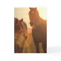 Sunset Horses  Greeting Card