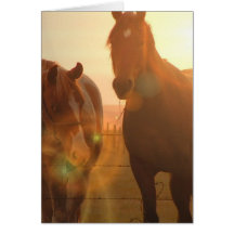Sunset Horses  Greeting Card