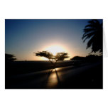 Sunset in Aruba Greeting Card