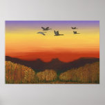 Sunset in Desert Poster