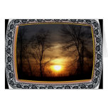 Sunset in NY cards