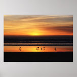 Sunset in San Diego posters