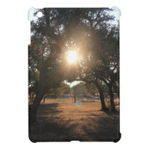 Sunset in the Texas Hill Country Cover For The iPad Mini