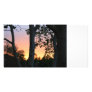 Sunset in the Trees Photo Cards