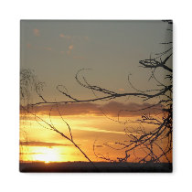 sunset IV magnet