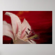 Sunset Lily Posters