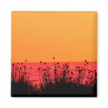 Sunset Magnet