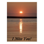 Sunset Miss You Postcard