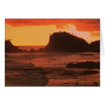 Sunset on a rocky coast greeting cards