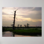 Sunset on the Bayou Print
