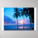 Sunset on the beach posters