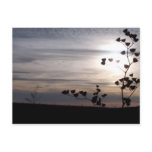 Sunset on the Farm postcards