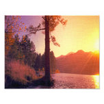 Sunset On The Tree Photo Art
