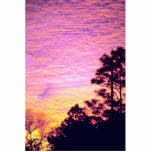 Sunset over Citrus County, Florida Photo Cut Out