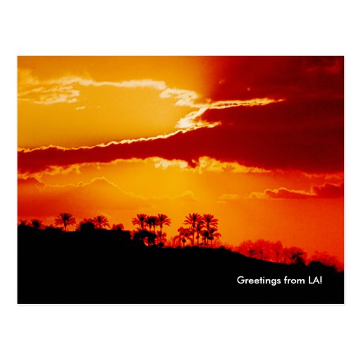 Sunset over Los Angeles California Postcard
