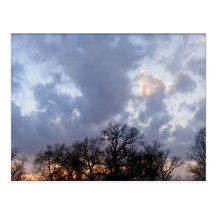 Sunset Over Trees Postcard