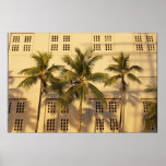 Sunset Palms Print