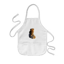 Sunset Pika Apron