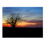Sunset Post Card