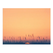 Sunset Post Cards