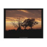 Sunset - Postcard