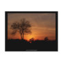 Sunset - Postcard