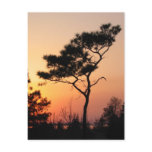 Sunset Postcard