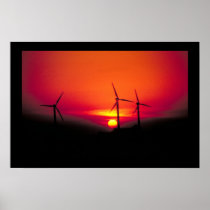 :: SUNSET ::