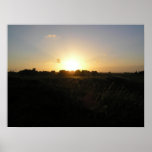 Sunset posters
