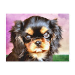 Sunset Puppy postcards