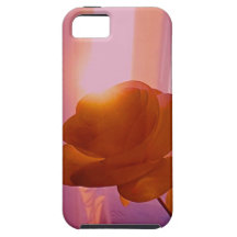 Sunset Rose iphone 5 case