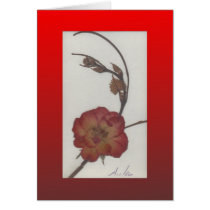 Sunset Roses Greeting Cards