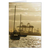 Sunset Sailing
